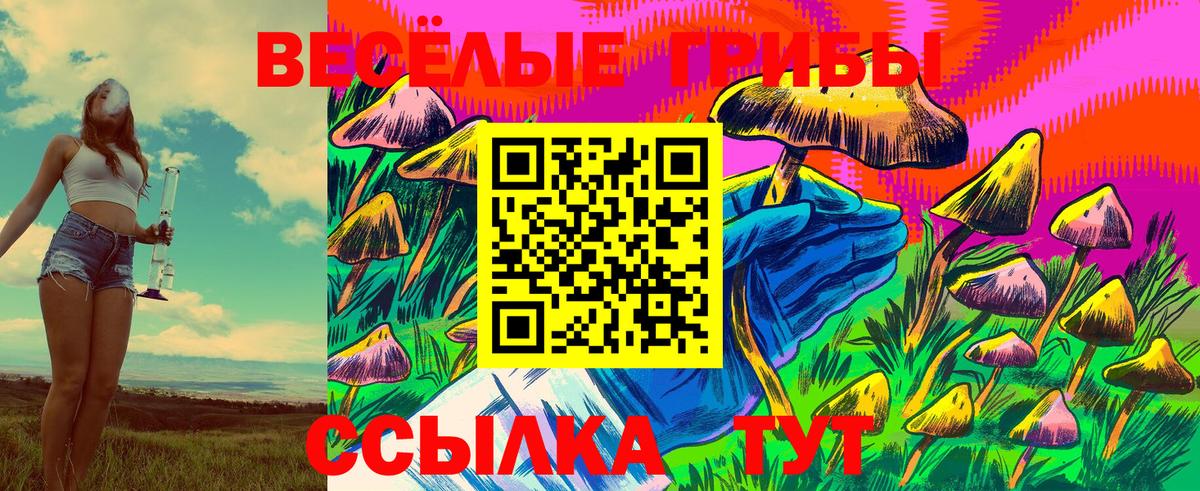 Вышний Волочёк  Псилоцибиновые грибы Cubensis  наркошоп  Вход с VPN 